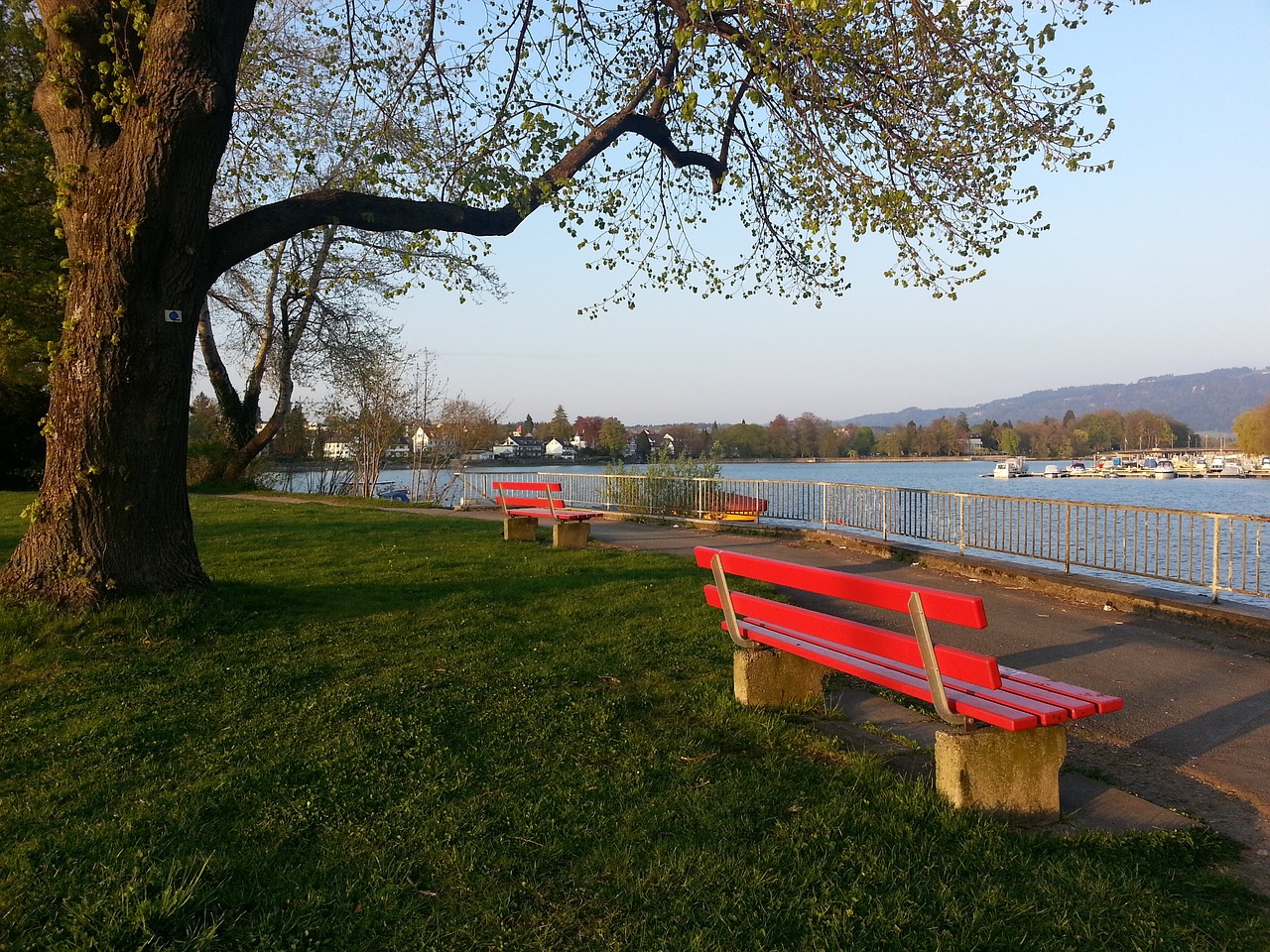 的进攻核心 的进攻核心