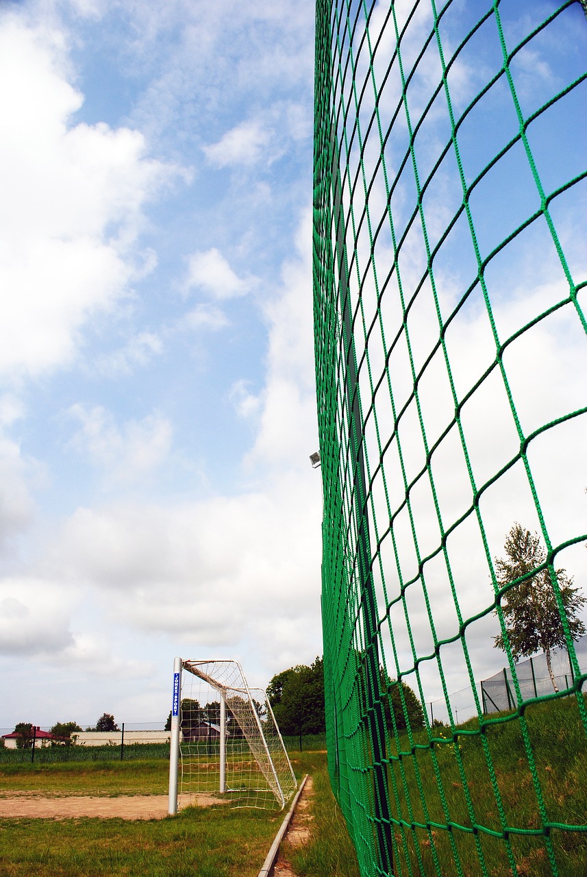 官方电影 官方电影