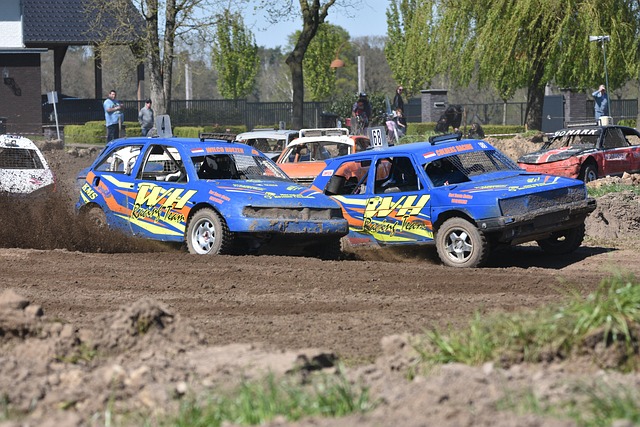 中的重要性 中的重要性