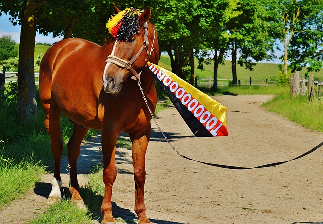 一线队今日晚间于海口集结，大家一起给今日寿星张玉宁过了生日.