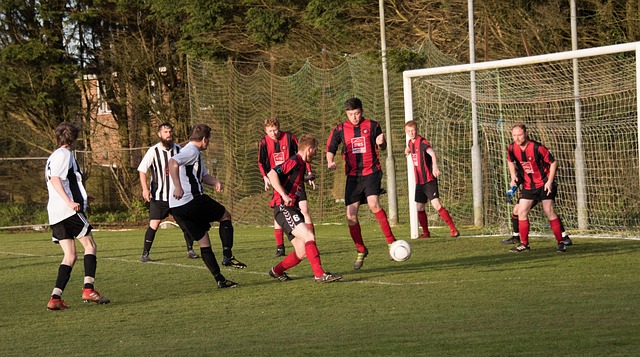 不僅是他專 不僅是他專